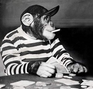... обезьяны играют в покер и игровые